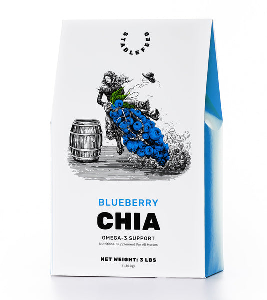 Blueberry - Omega-3 Support
